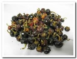 Ronde Paprika ca. 250 gram zak