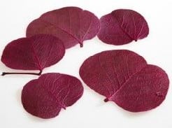 Moneta blad Pink 5 gram