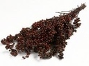 Pepper Berrie Peperbessen Burgundy Bundel