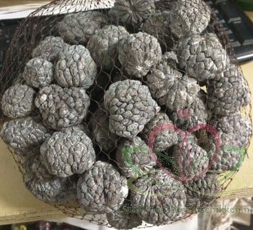 Atafruit droogbloem op draad Naturel ca. 50 stuks