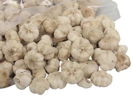 Beachfruit Paras Peepal mini pompoentjes Gebleekt wit ca. 500 gram