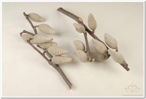 Woody Pear 5 stuks