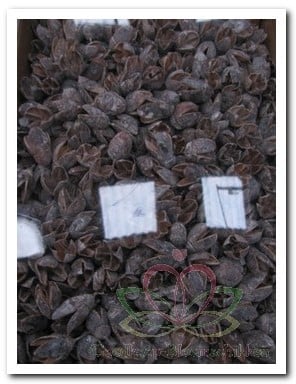 Bakuli Stone Wash 1 kilo
