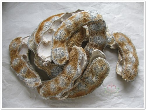 Olhoi de Boi Bean Frosted zak 25 stuks