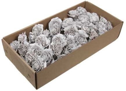 Cederroos op draad White wash ca. 50 stuks