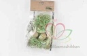 Exotic mix small LimeGroen