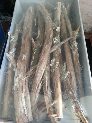 Skinny Wood takken Naturel doos ca. 1,5 kg