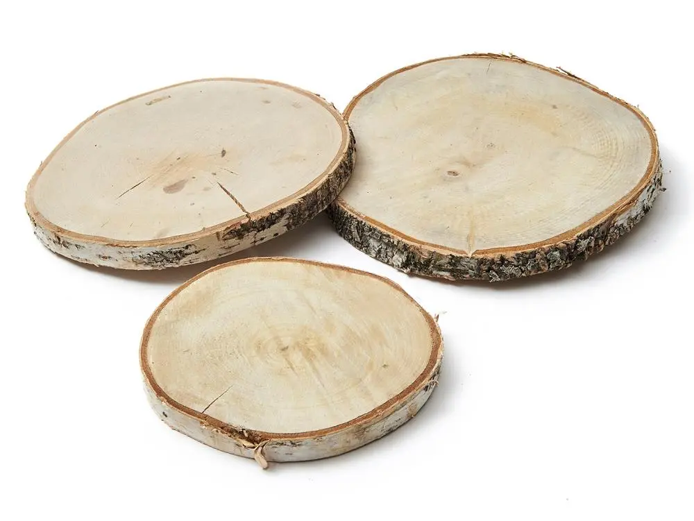 Boomstamschijf Berkenschijf rond ca. 25x25x2,3 cm