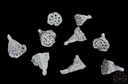 Lotus Mini Stone Washed 3–5 cm zak ca. 200 stuks