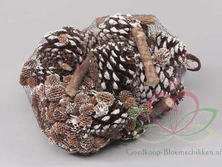 Dennenappels Forest mix White Tip Net 500 gram