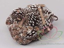 Dennenappels Forest mix White Tip Net 500 gram