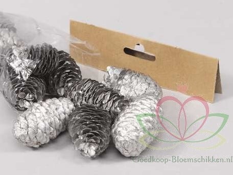 Dennenappel Ray Cones Zilver 100 gram kleinverpakking
