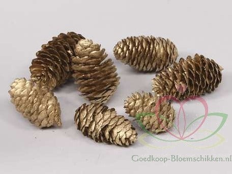 Dennenappel Ray Cones Goud 500 gram