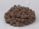 Liquidambar Fruit Naturel 500 gram