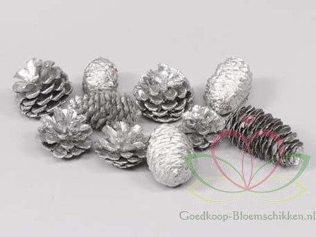 Dennenappel Ray Cones Zilver 500 gram