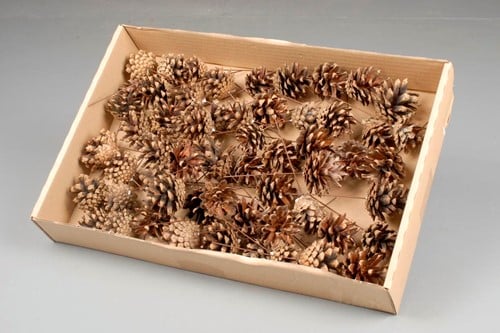 Sylvester dennenappel op draad doos 100 stuks