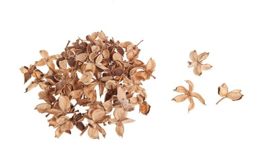 Cotton pods Katoenpods Naturel 500 gram