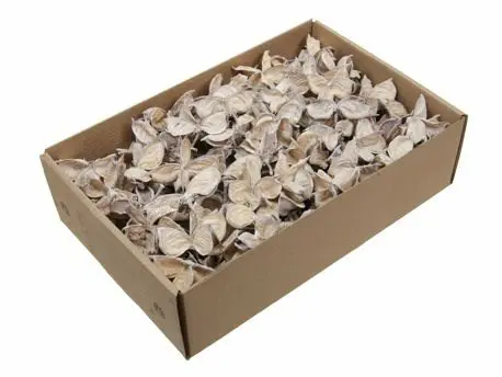 Cottonpod Katoenpods Whitewash 225 gram