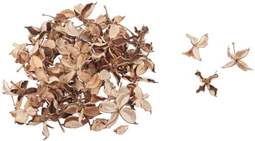 Cotton pods Katoenpods Naturel 150 gram