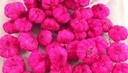 Beachfruit Paras Peepal mini pompoentjes Wild Apple Cyclaam Fuchs ca. 250 gram