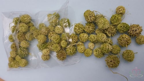 Liquidambar Groen Wash 150 gram