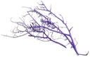 Milka bush White 10 stuks