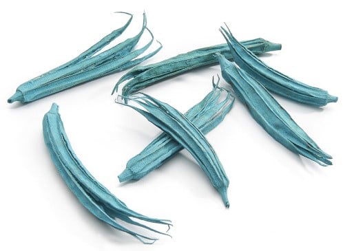 Okra Azuurblauw ca. 10 cm zak 50 stuks