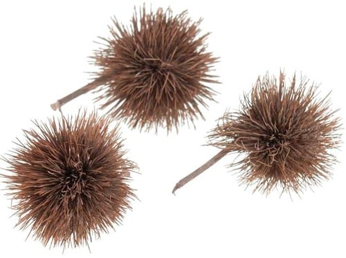 Kartoons Flower Taupe Champagne Wash 10 stuks
