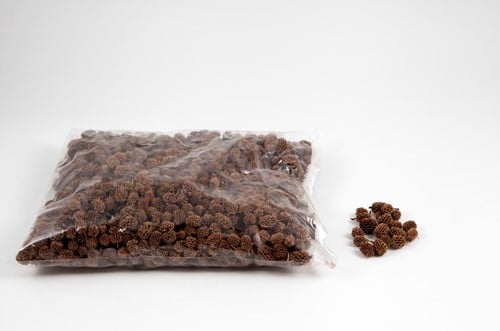 Casuarina Denneappeltjes Naturel ca. 500 gram