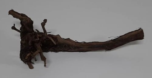 Druivenstronk Naturel 50-60 cm