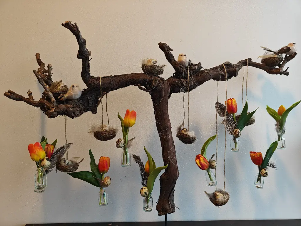 Druivenstronk Naturel 50-60 cm
