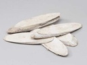 Berkenschijven ovaal White Wash ca. 20-25 cm 6 stuks
