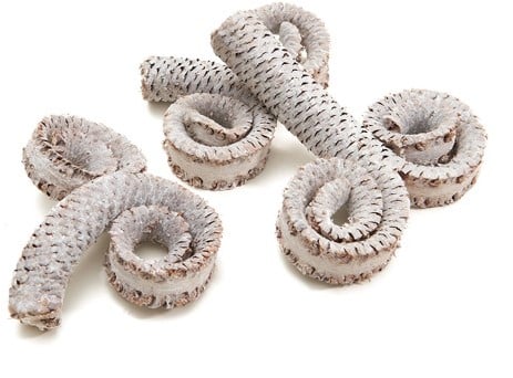 Palm Male Ring Frosted White 10-15 cm 15 stuks