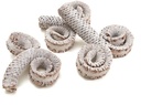 Palm Male Ring Frosted White 10-15 cm 15 stuks