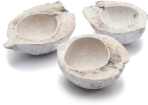 Kokosnoot White Wash halve 15-20 cm per stuk