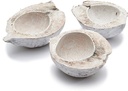 Kokosnoot White Wash halve 15-20 cm per stuk