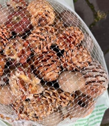 Leucadendronmix Net XXL 500 gram 