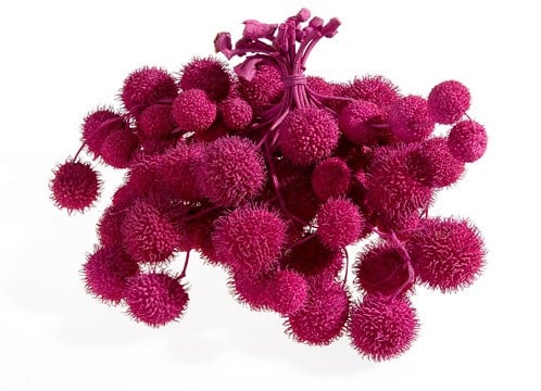 Plataanballetjes Plane Ball Fuchsia zak