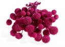 Plataanballetjes Plane Ball Fuchsia zak