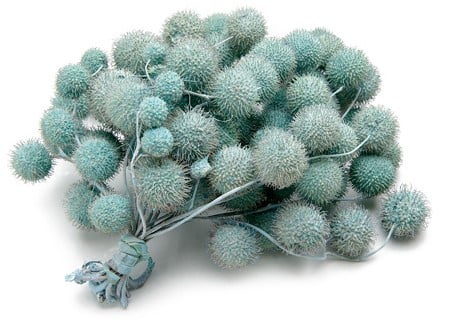 Plataanballetjes Plane Ball Turquoise zak