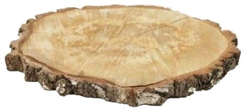 Boomstamschijf Berkenschijf ca. 35 cm