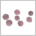 Pal Fruit Terra cotta 200 gram