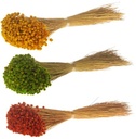 Happy flower mix Oranje Groen Geel 40 cm 200 gram