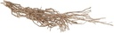 Takkenbundel Perenhout Bleached 500 gram