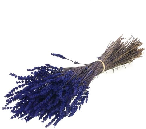 Geprepareerd Gepreserveerd Lavendel Dark Blue Bundel 45 cm 150 gr
