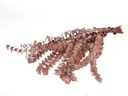 Geprepareerd Gepreserveerd Eucalyptus Baby Rood 50-80 cm 150 gr