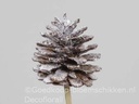 Dennenappels op draad Grootverpakking Naturel Snow doos ca. 600st Bulk