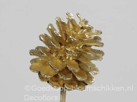 Dennenappels op draad/stick Grootverpakking Goud doos ca. 600st Bulk