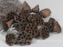 Lotus zak Naturel 5–7 cm ca. 50 stuks