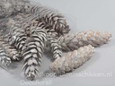 Dennenappel STROBUS Grote dennenappel White wash 20-25cm Zak25